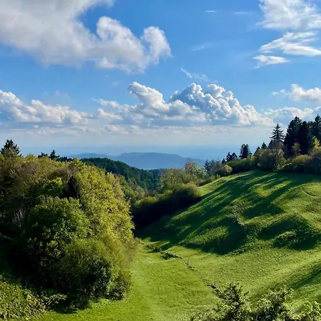 Bed & Breakfast Dalla Eli 3*