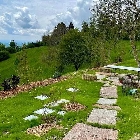 Dalla Eli Bed & Breakfast